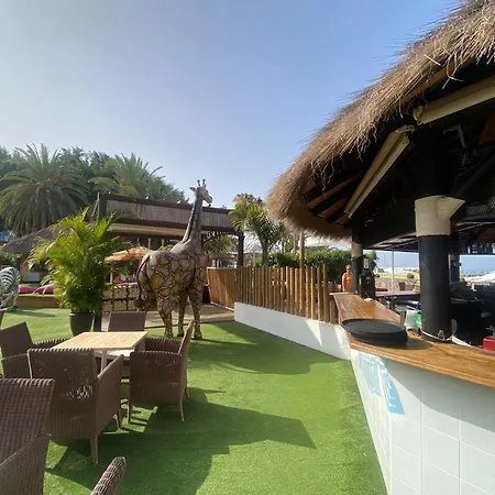 Stylish And Comfortable Duplex Near Swimming Pool